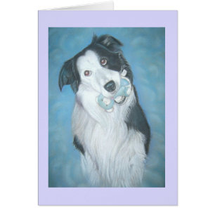cute border collie with teddy dog thinking of you