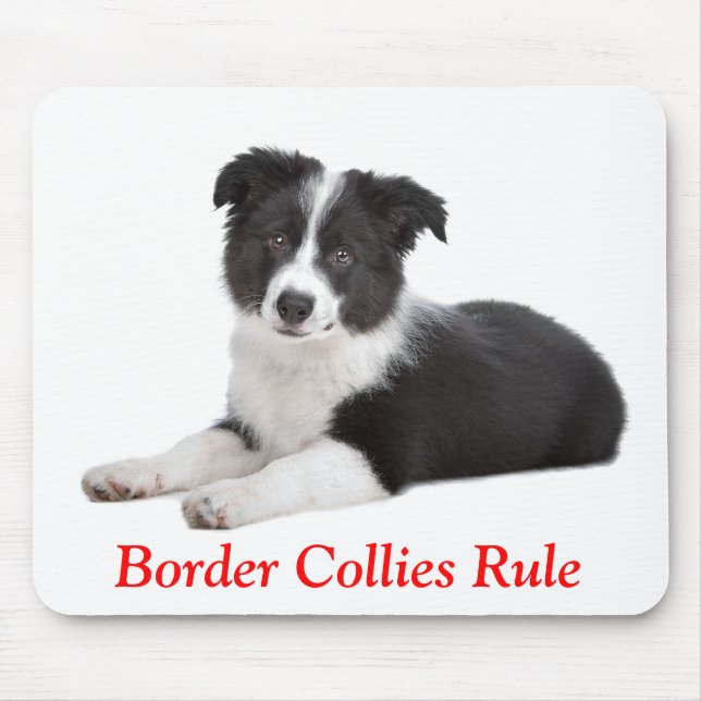 Cute Border Collies Rule  Puppy Dog Mousepad (Front)