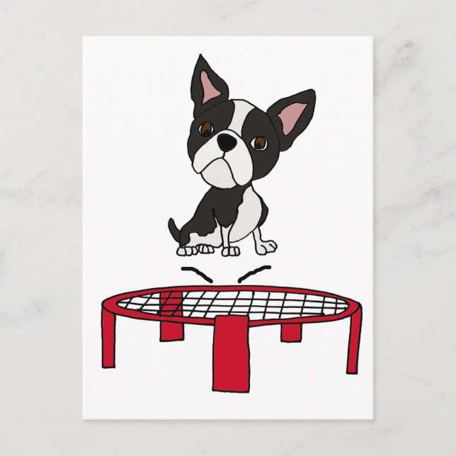 Cute Boston Terrie Dog on Trampoline Cartoon Postcard (Front)