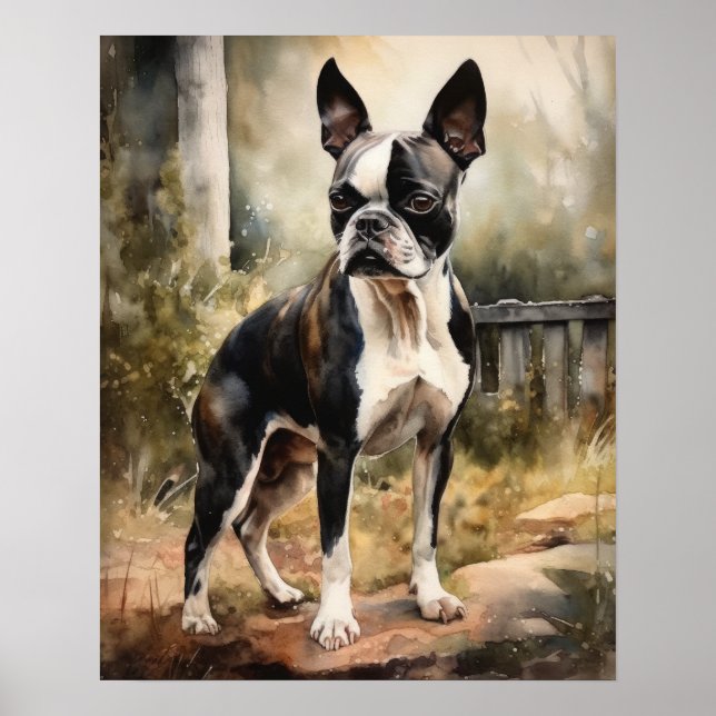 Cute Boston Terrier Dog Art Print Poster (Front)
