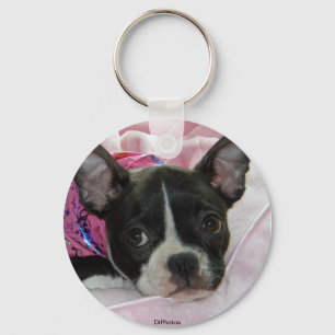 Cute Boston Terrier Puppy Key Ring