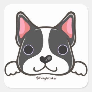 Cute Boston Terrier Sticker
