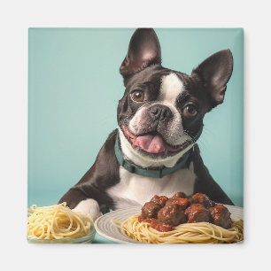 Cute Boston Terrier With Spaghetti Bolognaise Magnet