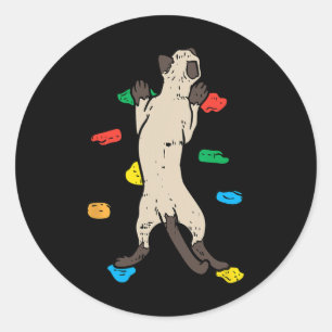Cute Bouldering Cat - Cute Climbing Classic Round Sticker