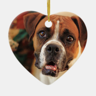 Cute Boxer Ceramic Tree Decoration