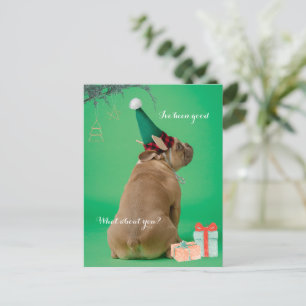 Cute Boxer Dog Christmas I've Been Good Postcard
