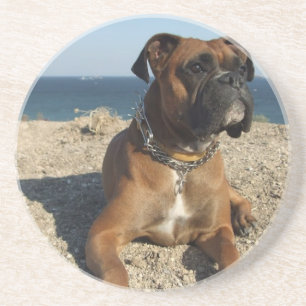 Cute Boxer Dog Coasters