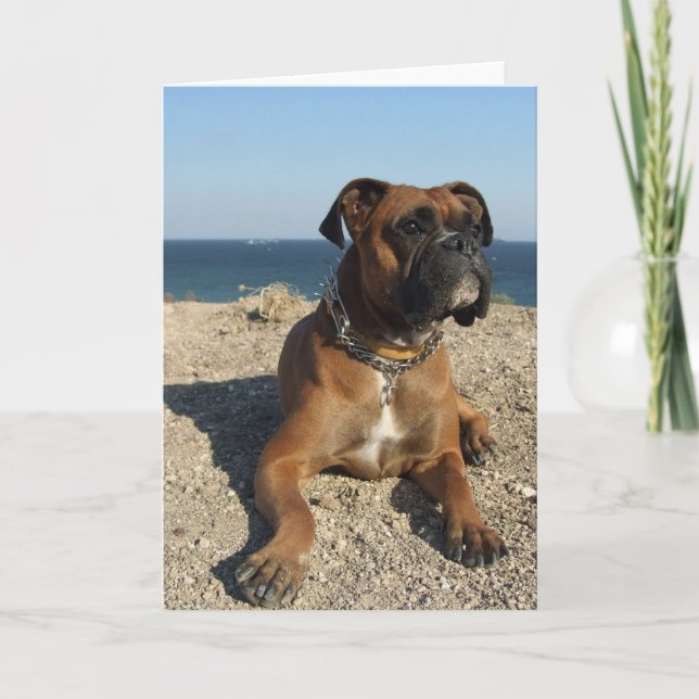 Cute Boxer Dog Greeting Card (Front)
