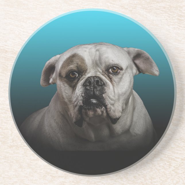 Cute Boxer Dog w Blue Black Gradient  background Coaster (Front)
