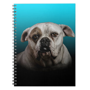Cute Boxer Dog w Blue Black Gradient background Notebook