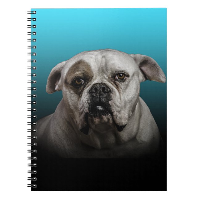Cute Boxer Dog w Blue Black Gradient  background Notebook (Front)