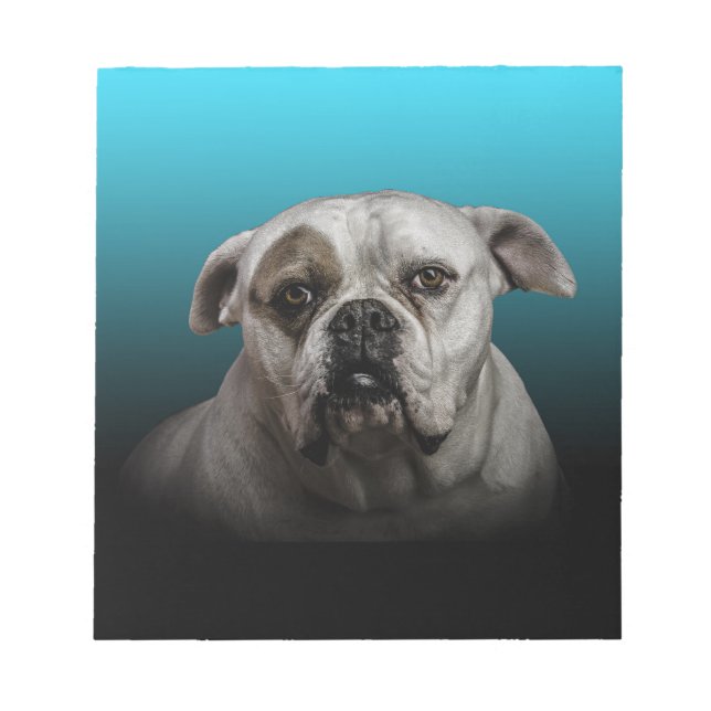 Cute Boxer Dog w Blue Black Gradient  background Notepad (Front)