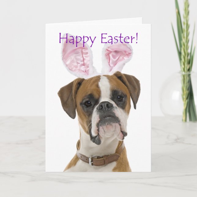 Cute Boxer Easter Card (Front)