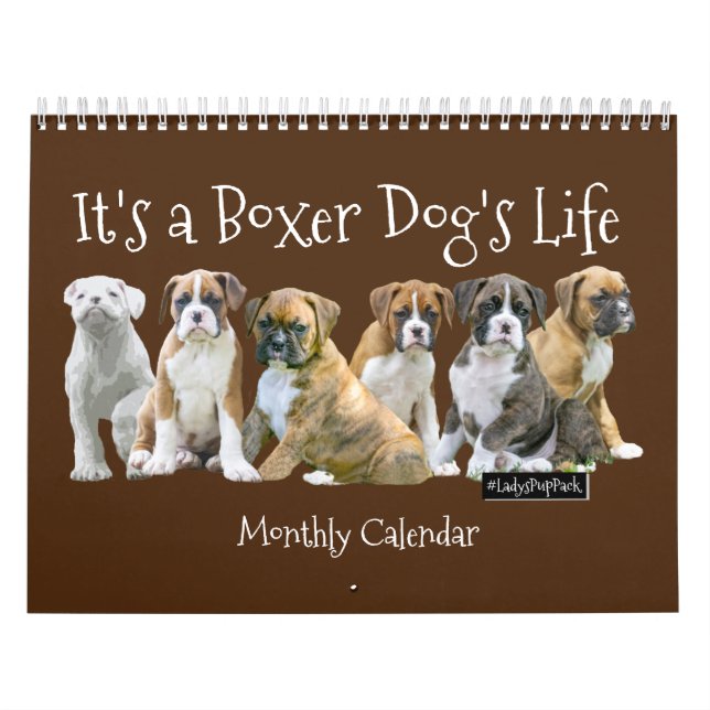 Cute Boxer Puppies Calendar (Cover)