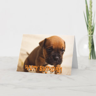 Cute boxer puppy birthday card