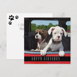 Cute Boxer Puppy Happy Birthday Dogs Announcement