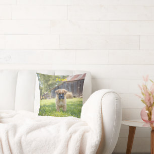 Cute Boxer Puppy Personalised Cushion