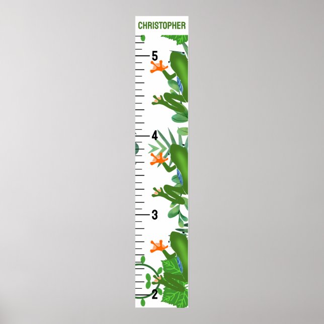 Cute Boy Room Growth Charts (Front)