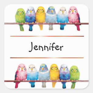Cute Bright Budgerigar Budgie Birds in a Row Name Square Sticker