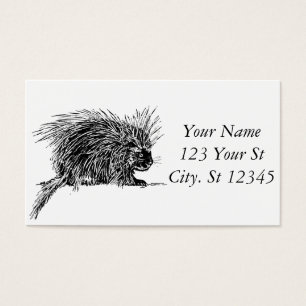 Cute Bristly Hedgehog Thunder_Cove