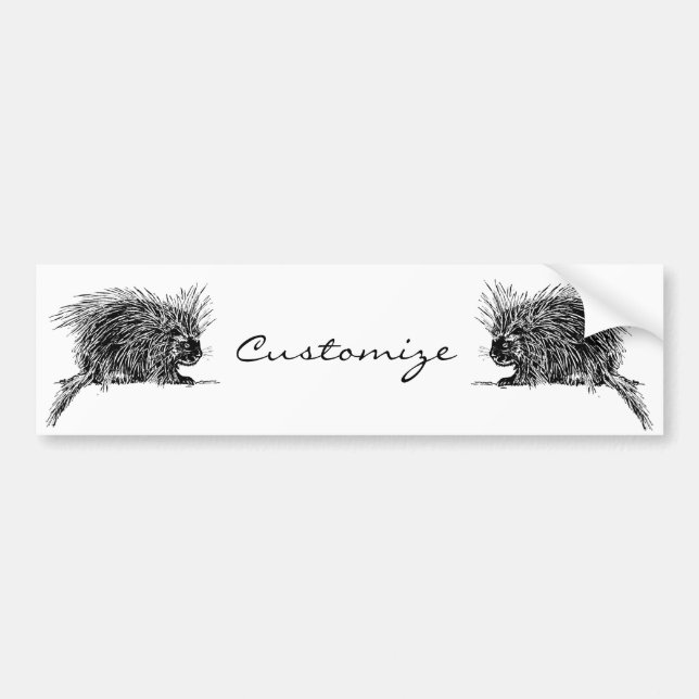 Cute Bristly Hedgehog Thunder_Cove Bumper Sticker (Front)