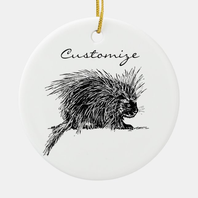 Cute Bristly Hedgehog Thunder_Cove Ceramic Ornament (Front)