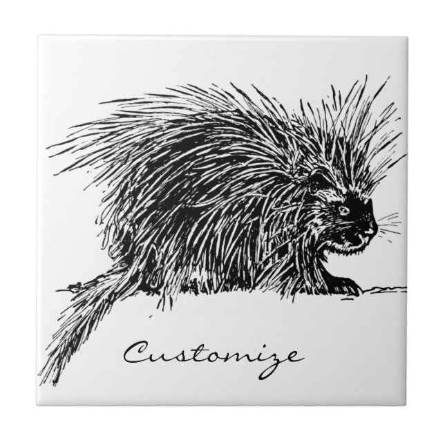 Cute Bristly Hedgehog Thunder_Cove Ceramic Tile (Front)