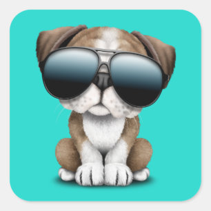 Cute British Bulldog Puppy Wearing Sunglasses Square Sticker