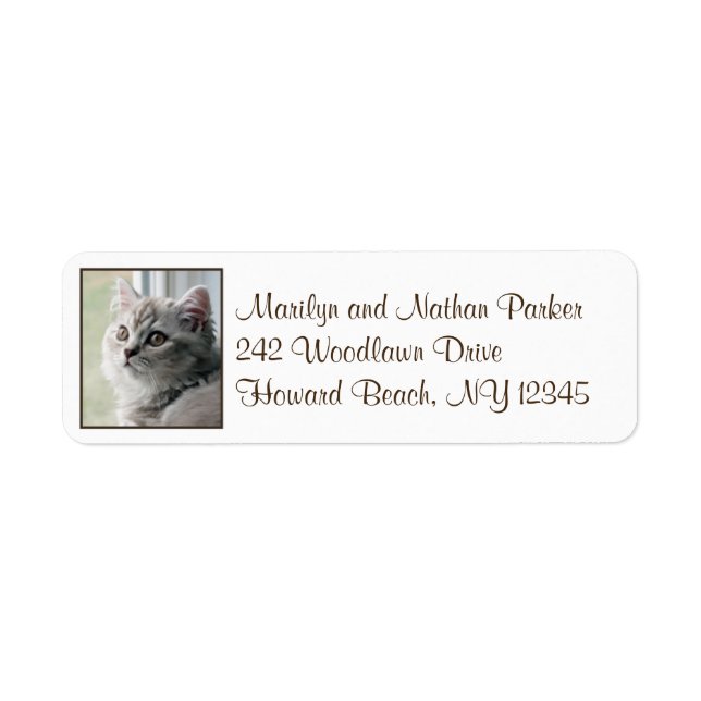 Cute British Long Hair Kitten Return Address Label (Front)