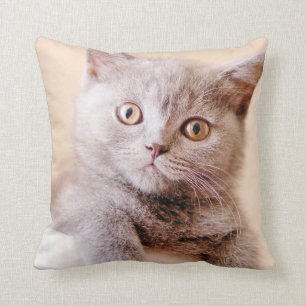 Cute British Shorthair Cat Cushion