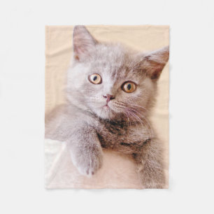 Cute British Shorthair Cat Fleece Blanket
