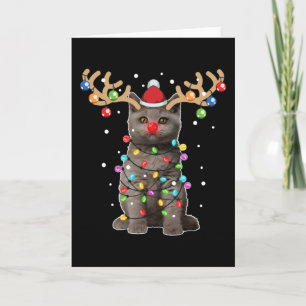 Cute British Shorthair Cat Funny Christmas Holiday Card