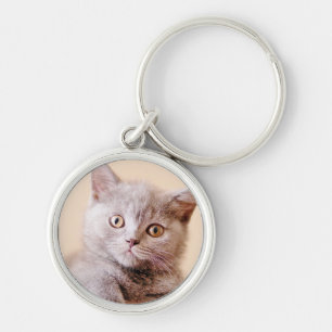 Cute British Shorthair Cat Key Ring