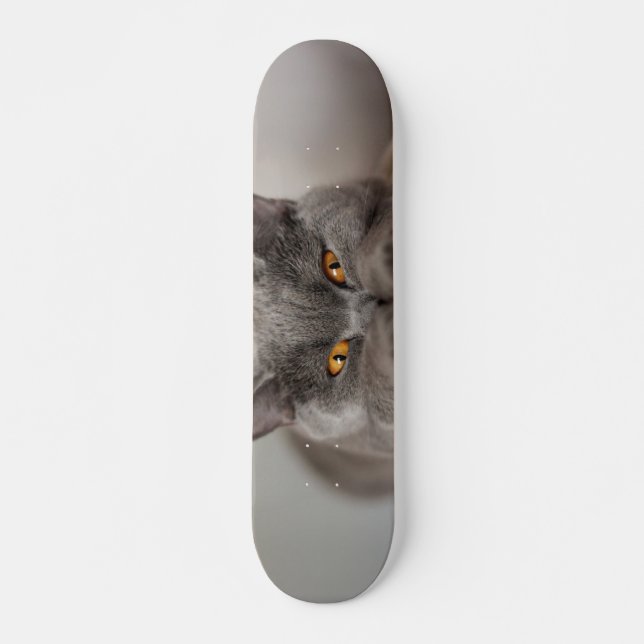 Cute British Shorthair cat Skateboard (Front)