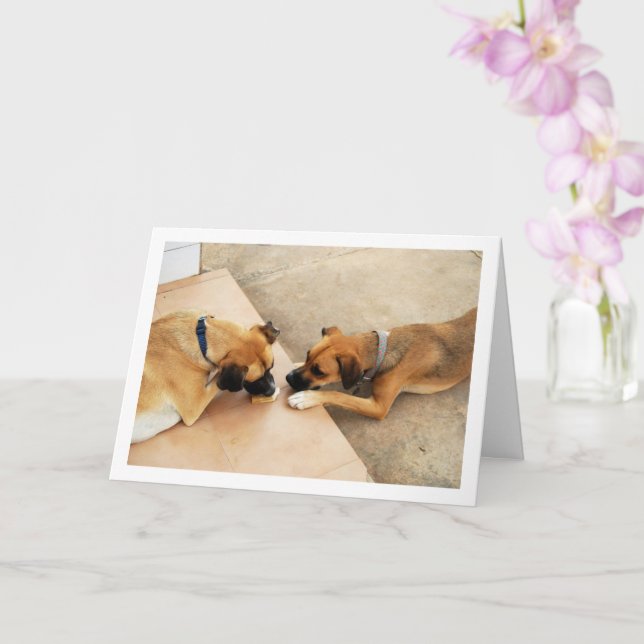 Cute Brother and Sister, Dog Portrait Card (Orchid)