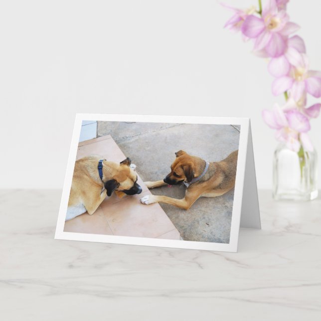 Cute Brother and Sister, Dog Portrait Card (Orchid)