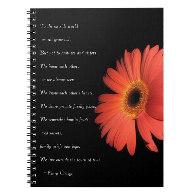 Cute Brother / Sister Siblings Birthday Notebook (Front)