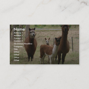 Cute Brown Alpacas In The Zoo Business Card