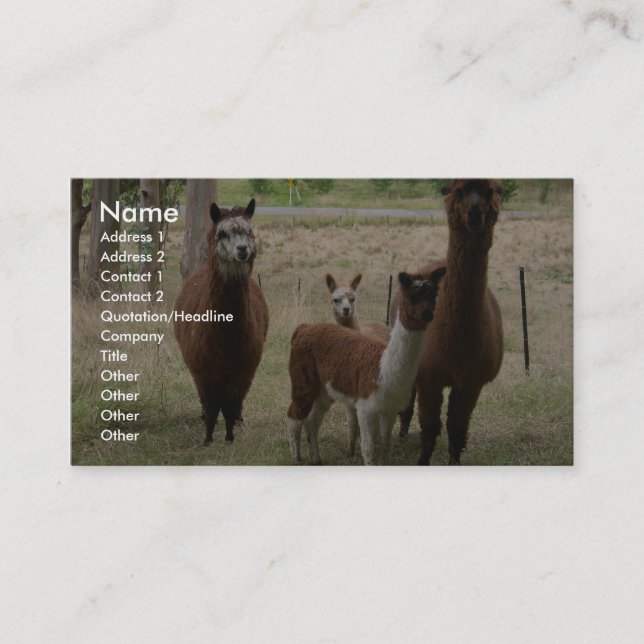 Cute Brown Alpacas In The Zoo Business Card (Front)