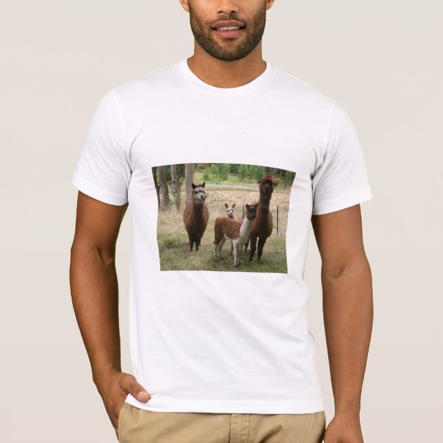 Cute Brown Alpacas In The Zoo T-Shirt (Front)
