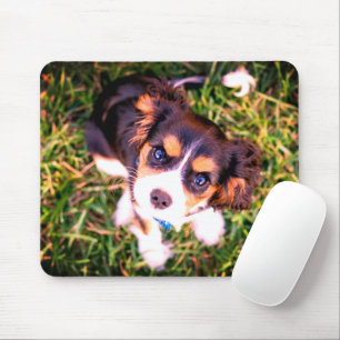 Cute Brown And White Angry Puppy Mouse Pad