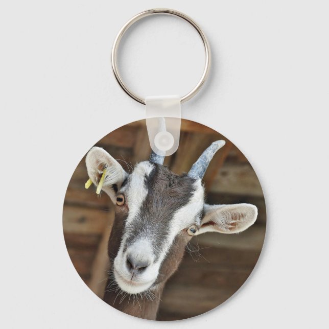 Cute Brown and White Goat Photo Key Ring (Front)