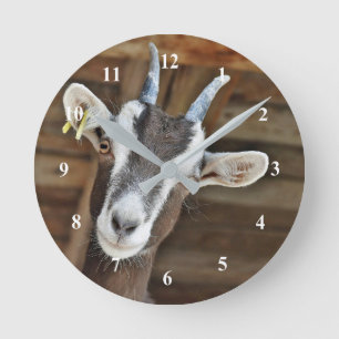 Cute Brown and White Goat Photo Round Clock