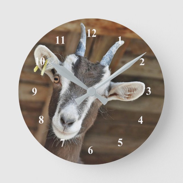 Cute Brown and White Goat Photo Round Clock (Front)