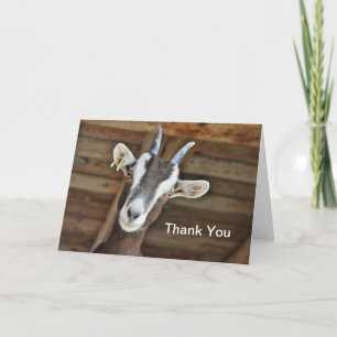 Cute Brown and White Goat Photo Thank You Card