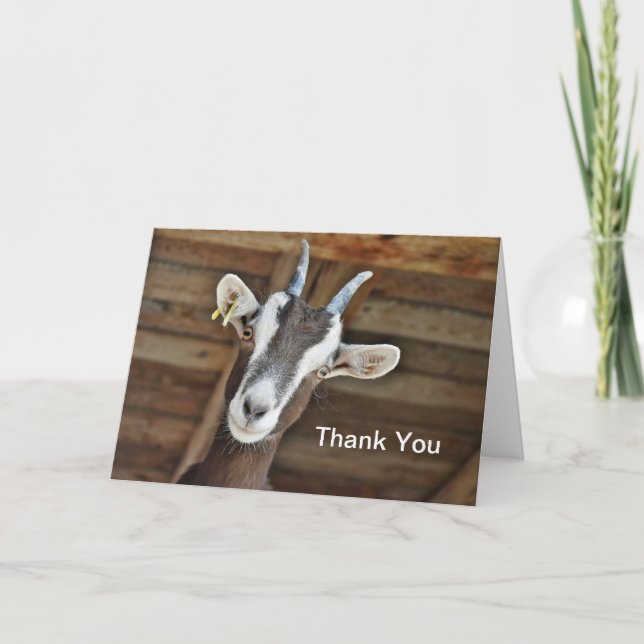 Cute Brown and White Goat Photo Thank You Card (Front)