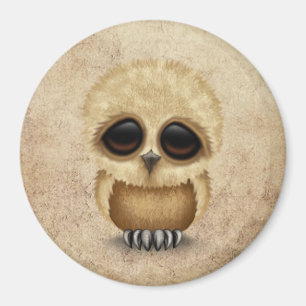 Cute Brown Baby Owl Chic on Aged Texture Magnet