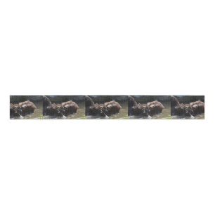 Cute Brown Bear Grosgrain Ribbon