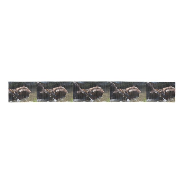 Cute Brown Bear Grosgrain Ribbon (Front)