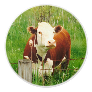 Cute Brown Cow 4Jojo Ceramic Knob